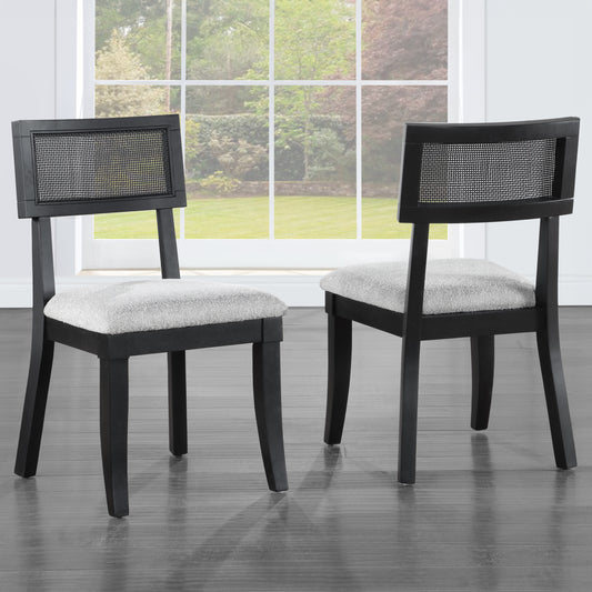 Set of 2 Colvin Cane Side Chairs, Black